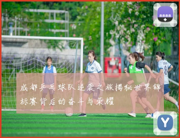 成都乒乓球队逆袭之旅揭秘世界锦标赛背后的奋斗与荣耀