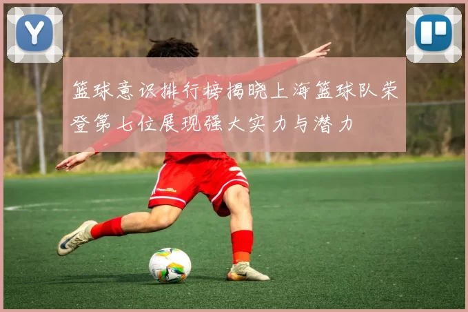 篮球意识排行榜揭晓上海篮球队荣登第七位展现强大实力与潜力