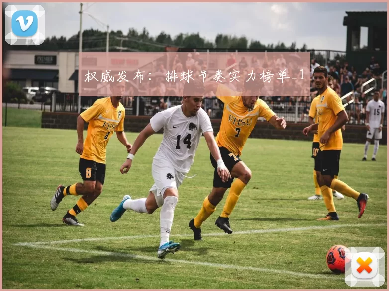 权威发布：排球节奏实力榜单_1