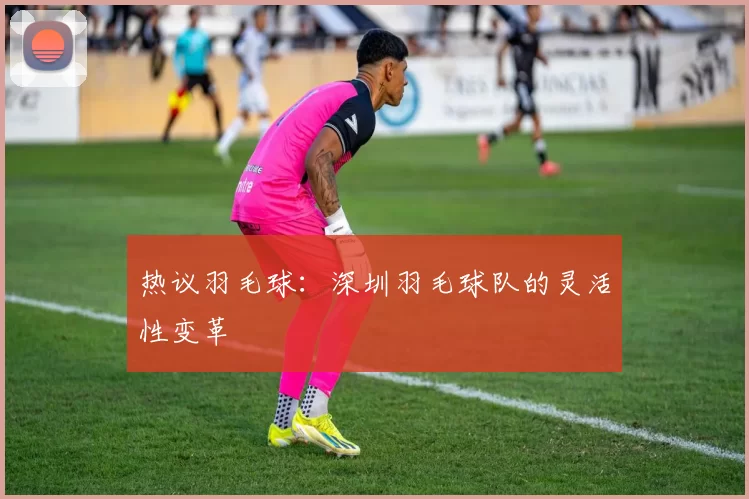 热议羽毛球：深圳羽毛球队的灵活性变革