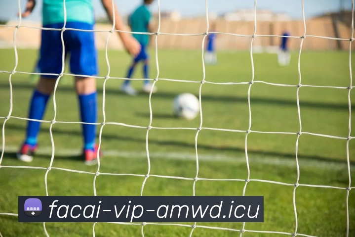 深度对话：周敏的篮球人生_1